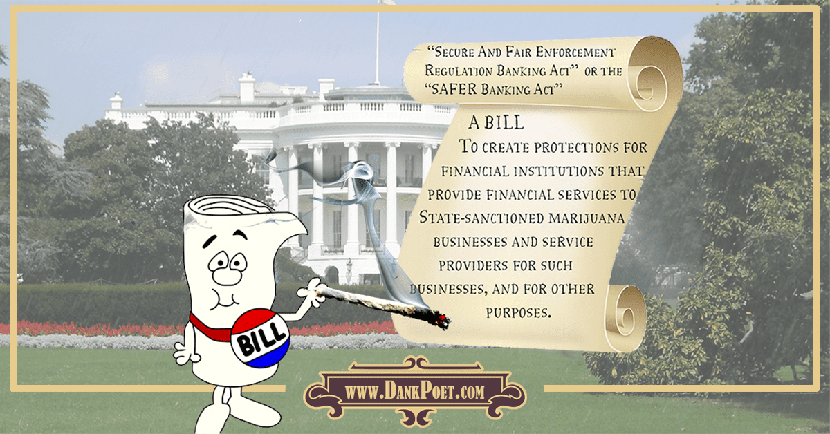 The Path to Financial Security for Legal Marijuana Dispensaries